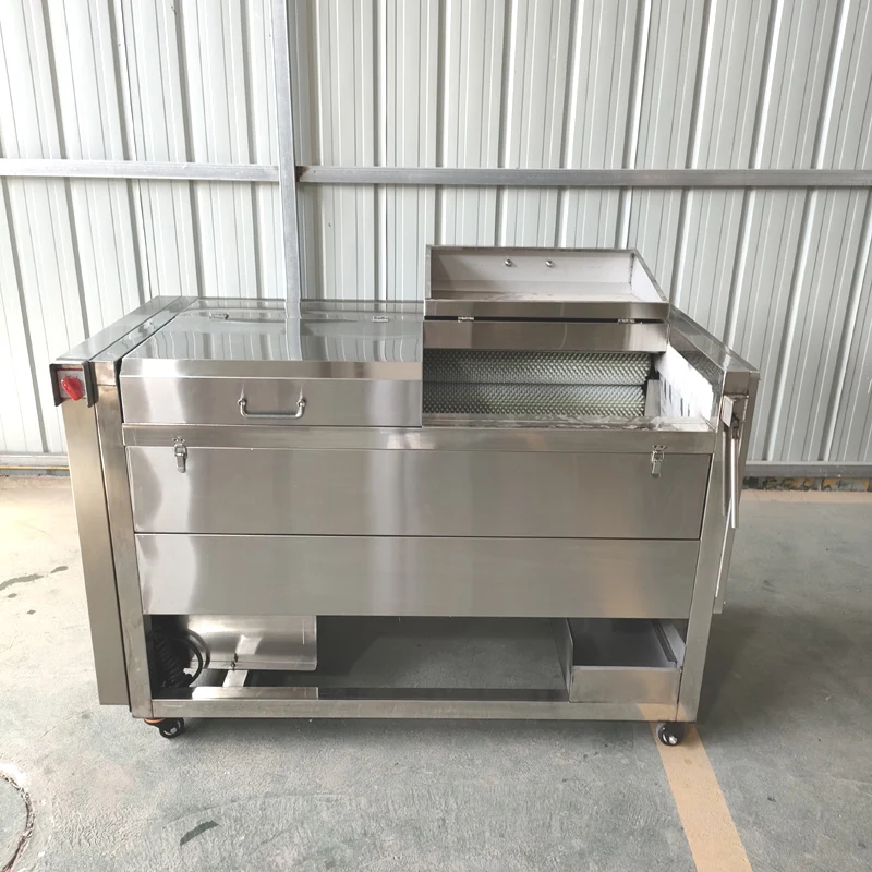 2024 New Type Vegetable Brush Washing Machine potato washing and peeling machine 5