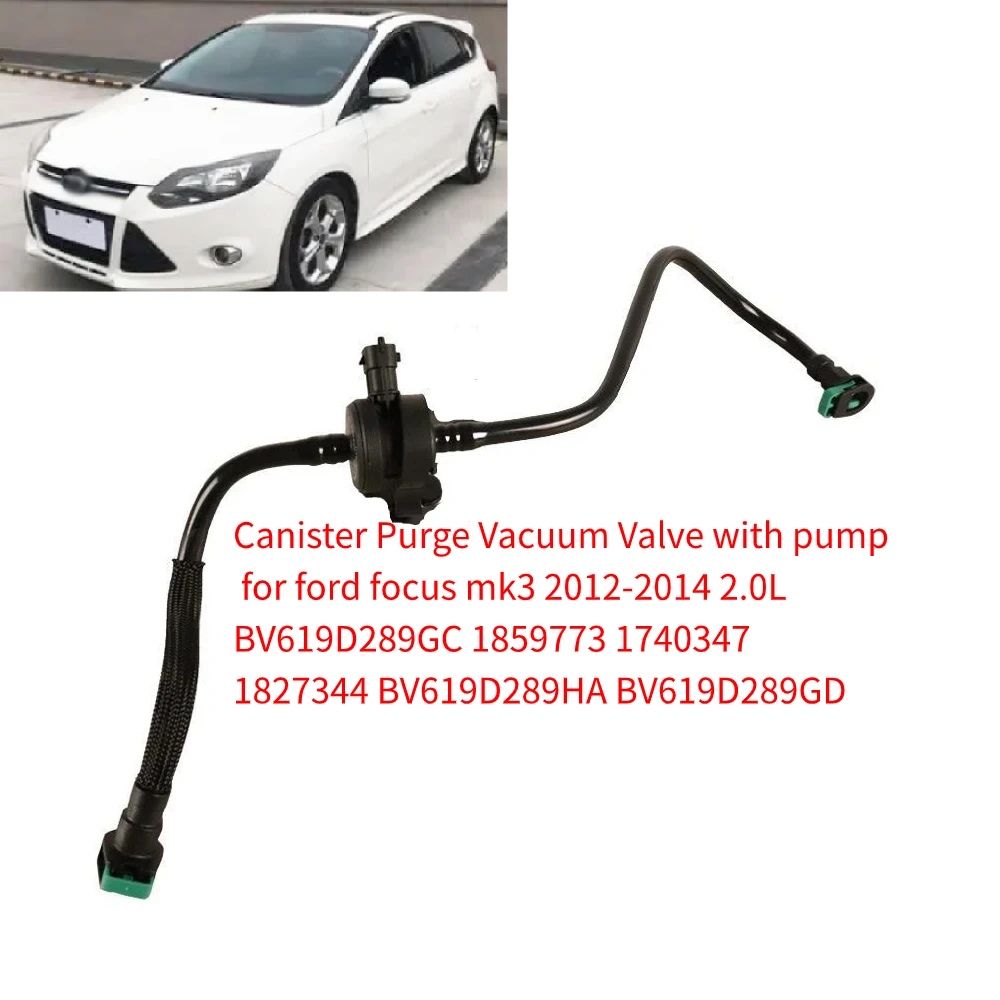 2012 Ford Focus Purge Valve