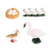 1 Set Swan Life Cycle Models Animals Playthings Kit for Home School 3