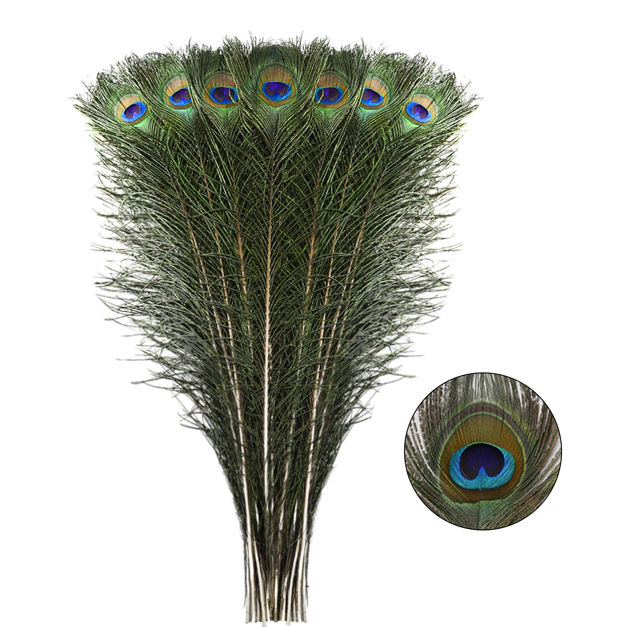 Lot De 70 Plumes Artisanales Naturelles - Paon, Autruche, Dinde - 7 Styles, Tailles Variées - Pour Attrape-rêves, Costumes, Décorations, Créations DIY - 8