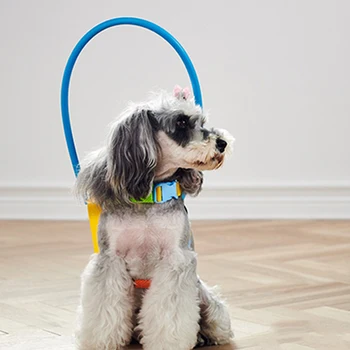 Pet Collar Blind Pet Anti-collision Collar Dog Guide Training Behavior Aids Fit Small Big Dog Prevent Collision Collars Supplies 4