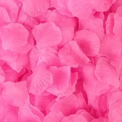 Colorful Romantic Silk Rose Petals for Wedding and Party Decorations