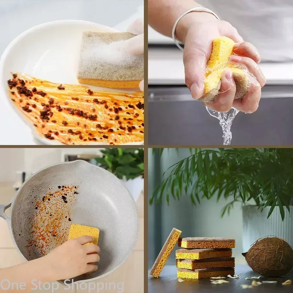 AIRNEX Spugne da cucina naturali, confezione da 6, in cellulosa e buccia di cocco, spugne per lavare i piatti, inodore, antigraffio, in noce, ecologic | Leroy Merlin