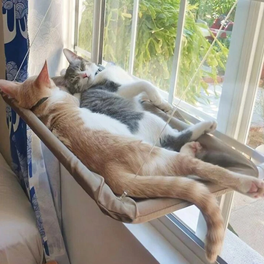 hanging cat bed