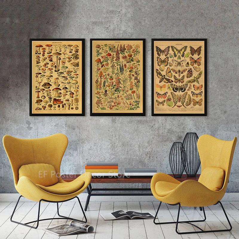 Wall Art Print Botanical Art Prints Mushroom Retro Poster Animal/Flower/Plant/Leaf/Butterfly Study Painting Vintage Study Room Home Wall Decor