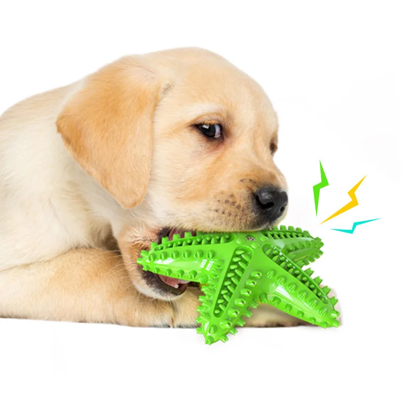 starfish-green