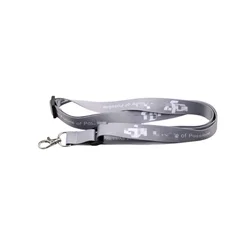 Universal Remote Control Lanyard Strap Belt (Light Grey)