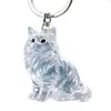 23GA Kitten-Shaped Pet Hair Storage Pendant Portable Kitten Hair Collector for Bag 2