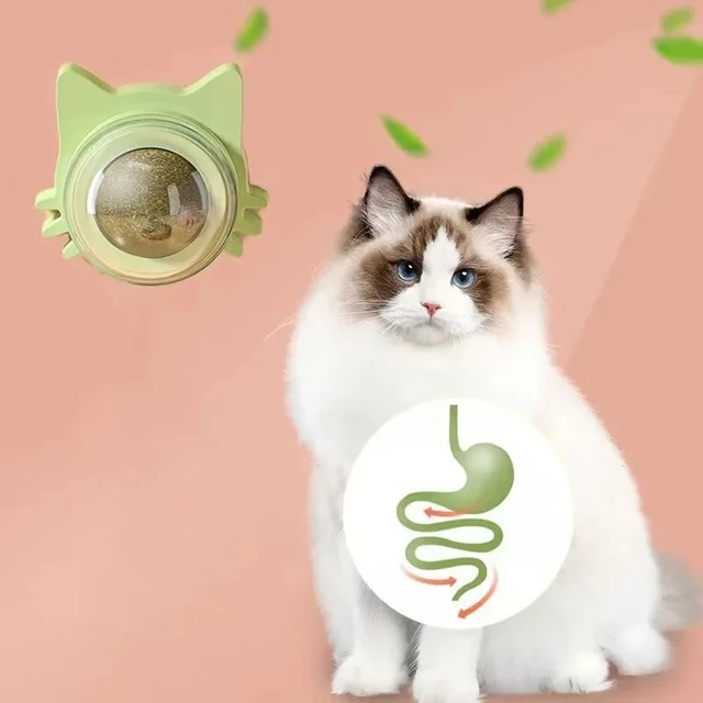 Catnip Cat Natural Mint Ball Wall Stick-on Snack Promote Digestion And Improve Appetite Cat Grass Spinning Tooth Clean Pet Toys 5