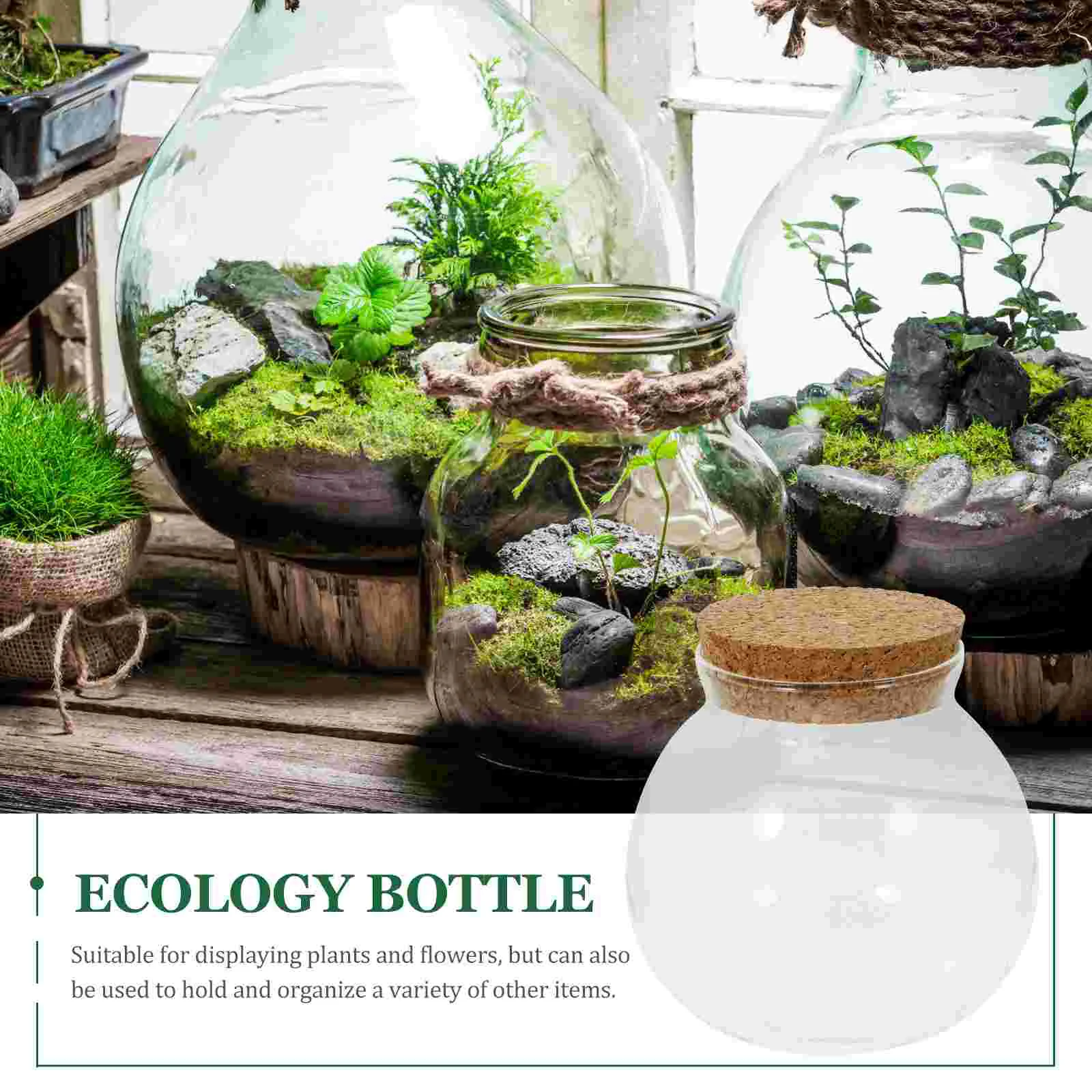 Glass Micro-landscape Ecological Bottle Moss Plant Vase Hydroponic Fish Tank Ornaments Betta (cork (10*11cm) Flower Pot Air 2