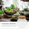 Glass Micro-landscape Ecological Bottle Moss Plant Vase Hydroponic Fish Tank Ornaments Betta (cork (10*11cm) Flower Pot Air 2