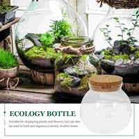 Glass Micro-landscape Ecological Bottle Moss Plant Vase Hydroponic Fish Tank Ornaments Betta (cork (10*11cm) Flower Pot Air 2