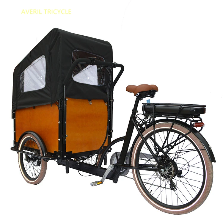 Bici Da Carico Da 20 Pollici Ebike Elettrica E-Cargo Family E Bicicletta Per Adulti Display Lcd 48V Trike 3 Ruote Moto
