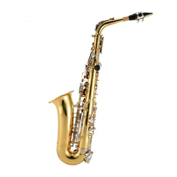 Contrast Color Gold Lacquer Alto E-flat Saxophone Instrument Wholesale