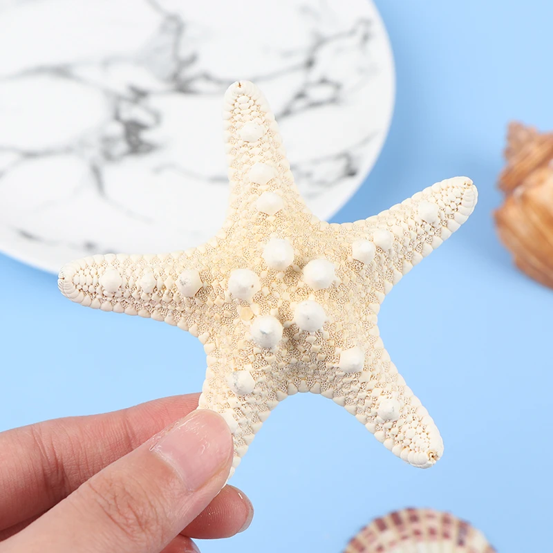 1pcs Starfish Crafts Decor Starfish DIY Shell Sea Fish Party Beige Decor