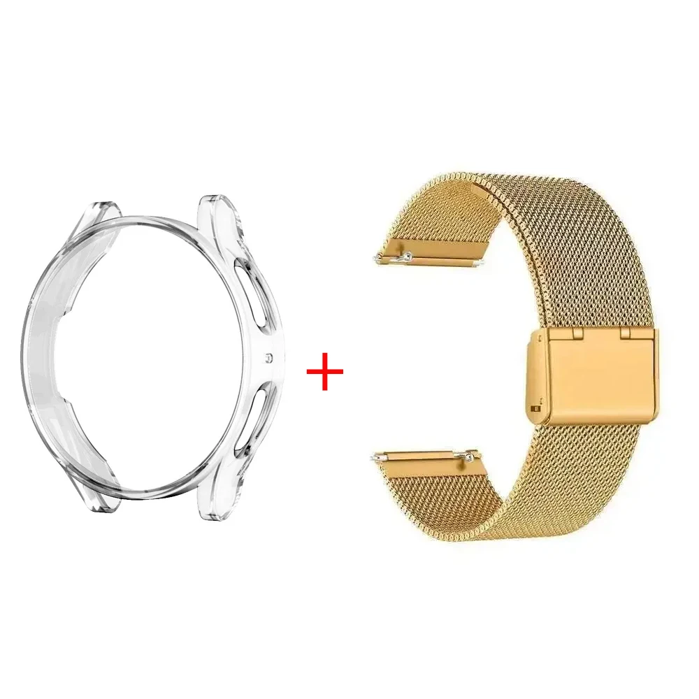 Enhanced Protective Stainless Steel Band with Screen Protector
