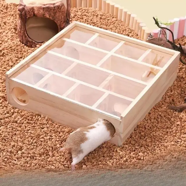 Maze Tunnel Toy Enrichment Playing Hiding Tool Exercising Hamster Room Multi Chamber Hideout Hamster Digging Box Pet Habitat 1
