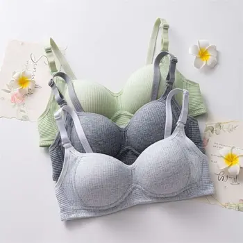 حمالة صدر لاسلكية للدفع لأعلى - صيف 1