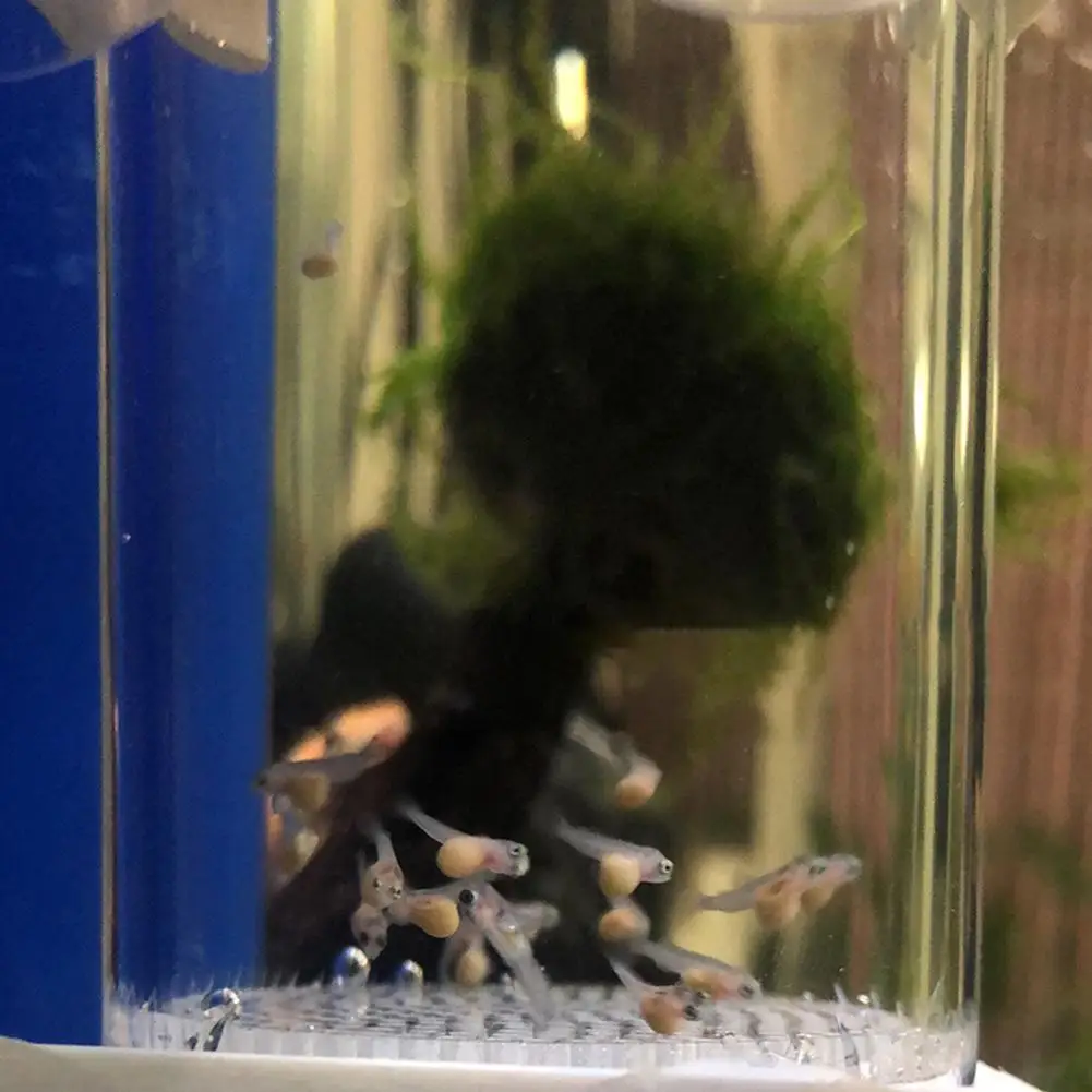 Fish Egg Tumbler Incubator 2