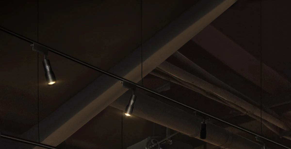 Adjustable Spotlight Image 1