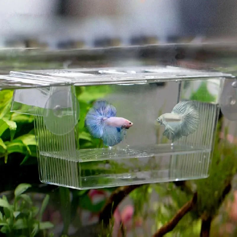 Aquarium fish hatchery incubator Acrylic breeding breeder breeder box aquarium fish tank for incubator