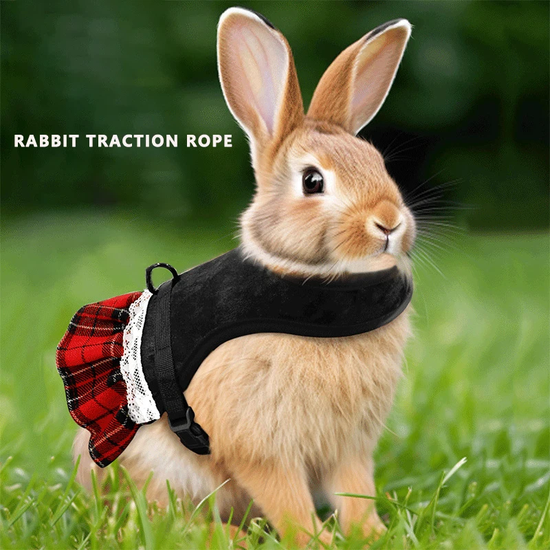 Cute rabbit chest harness with leash christmas pet vest rabbit rope with skirt cat dutch pig chest rabbit harness and leash set