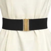 Women Elastic Band Wide Belts Simple Down Coat Waist Belt Female Black Strap Dress Decoration Accessories Metal Buckle Waistband 2