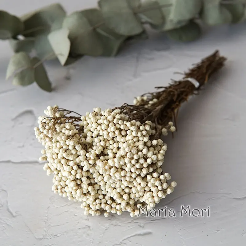 Elegant Preserved Rice Flower for Home and Office Decor – Ideal for DIY Crafts and Handmade Candle Projects