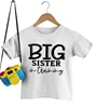 Family Siblings Matching Clothes Big Brother Again Big Sister Again New To Be Crew Print Kids T-shirts Newborn Cotton Bodysuits 3