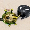 Children Novelty Funny Remote Control Turtle Toy Electric Walking Tortoise Model with Glowing Eyes Kids Toys Gift for Boys Girls 4