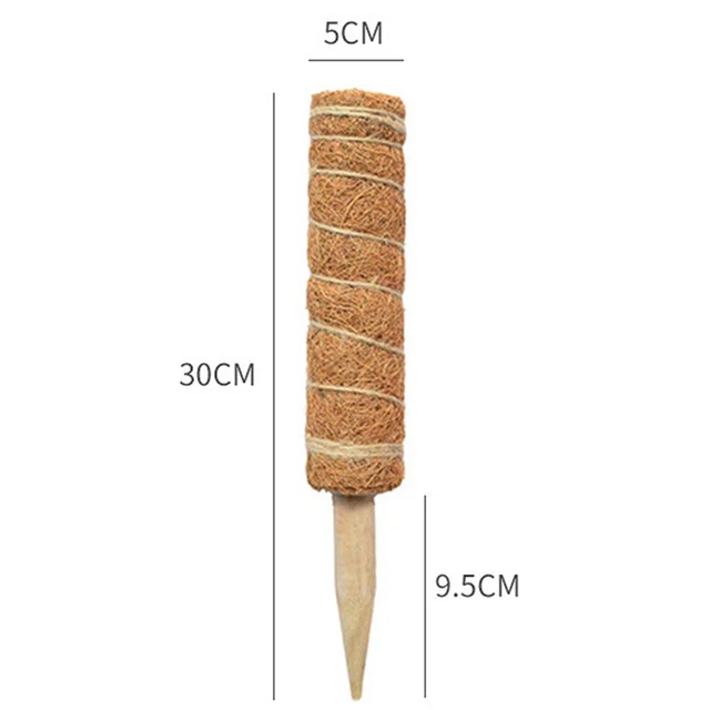 30CM