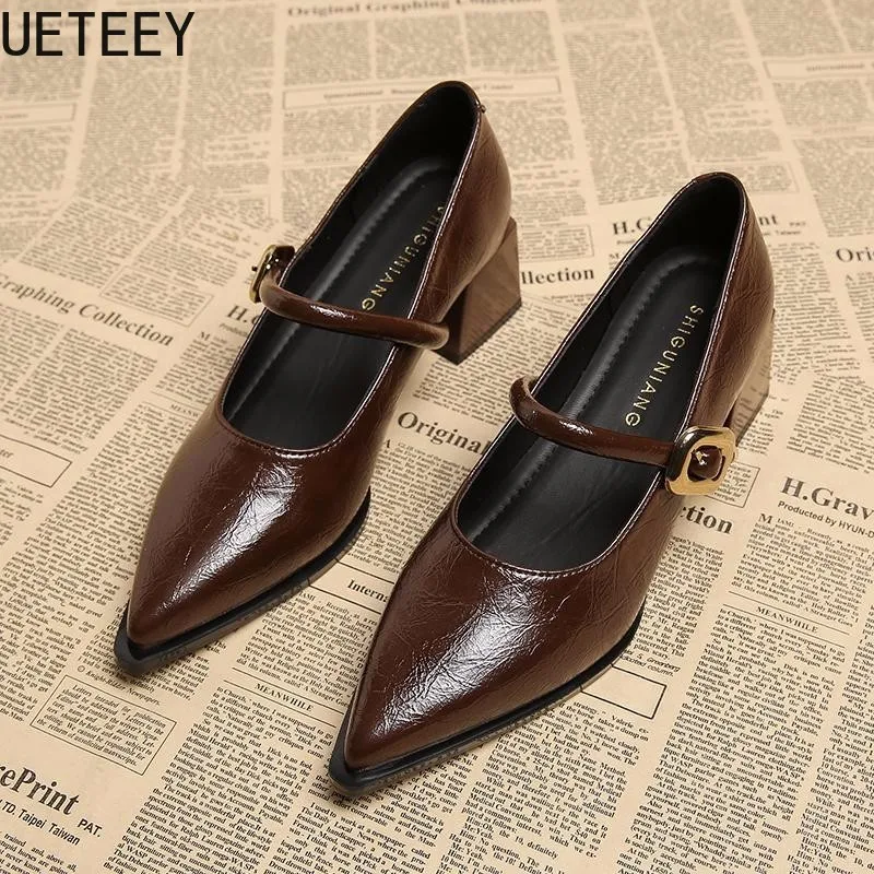 Designer Vintage Pointed Toe Women Mary Jane Shoes Fashion Shallow Buckle Shoes Ladies Elegant Dress Thick Heel Shoes 2