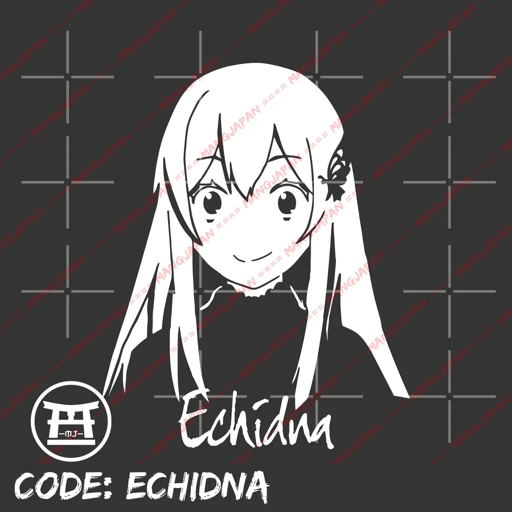 Фото Футболки distro anime ECHIDNA - RE:ZERO 100% хлопок чесаный 30s №4