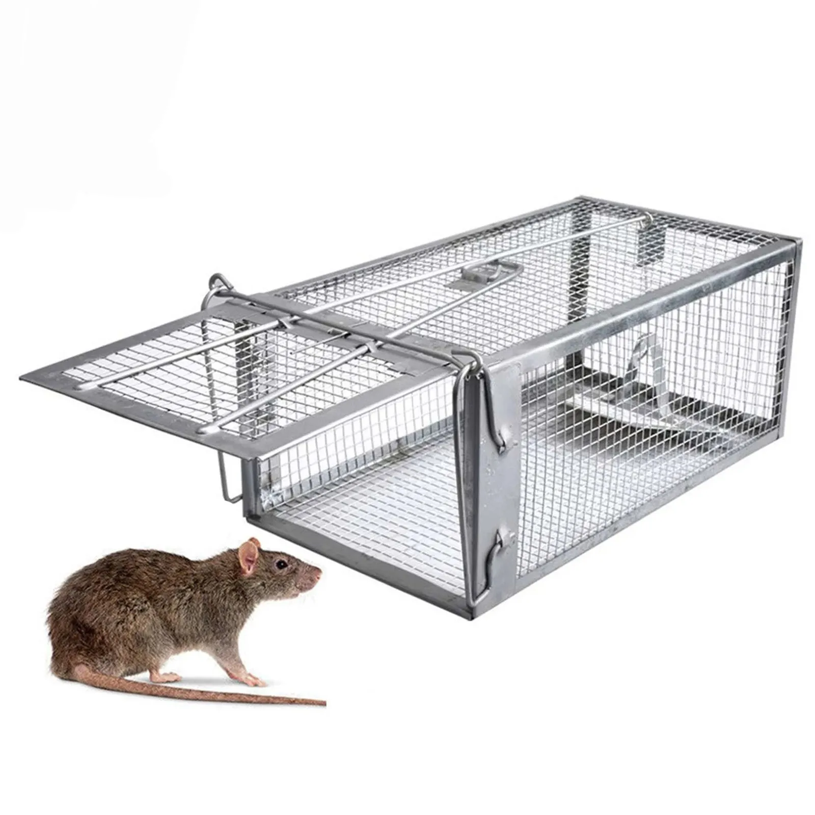 Mouse, Rat, or Mice Cage 2