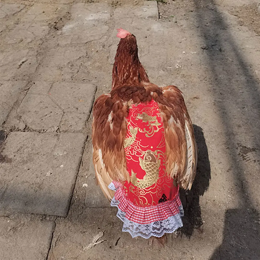 Hen Apron Feather Retainer Duck Goose Poultry Double Apron Back Protector Lace Edge Poultry Decorative Accessories Pet Products 5