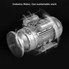 Oil Press Machine Stainless Steel Commercial 15Kg Per Hours Peanut Sunflowers Squeeze 6