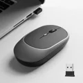 MouseGrey