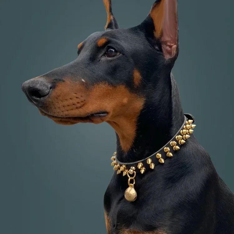 Hundehalsband Mit Pilz-Nieten – Verstellbar Aus Mikrofaser-Leder, Für Kleine Bis Große Hunde, Viele Farben & Größen (z.B. XS, Pink)