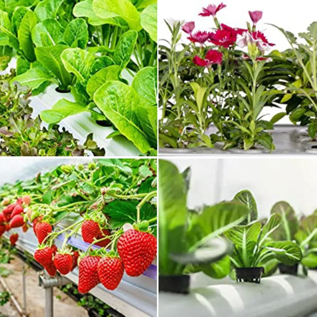 25PCS Pot Net Cup Soilless Mesh Net Basket Plant Veg Grow Nursery Cup Pot Garden Plant Basket Care Supplies