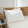 Smooth Pillow Protector 1PC 50x70cm Pillow Cover [Bed Bug Lock] 1
