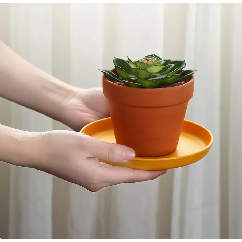Best-Selling Plastic Bone-Spitting Dish: Elegant & Practical Serving Plate for Snacks, Fruits & Household Meals