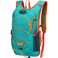 Green bag only