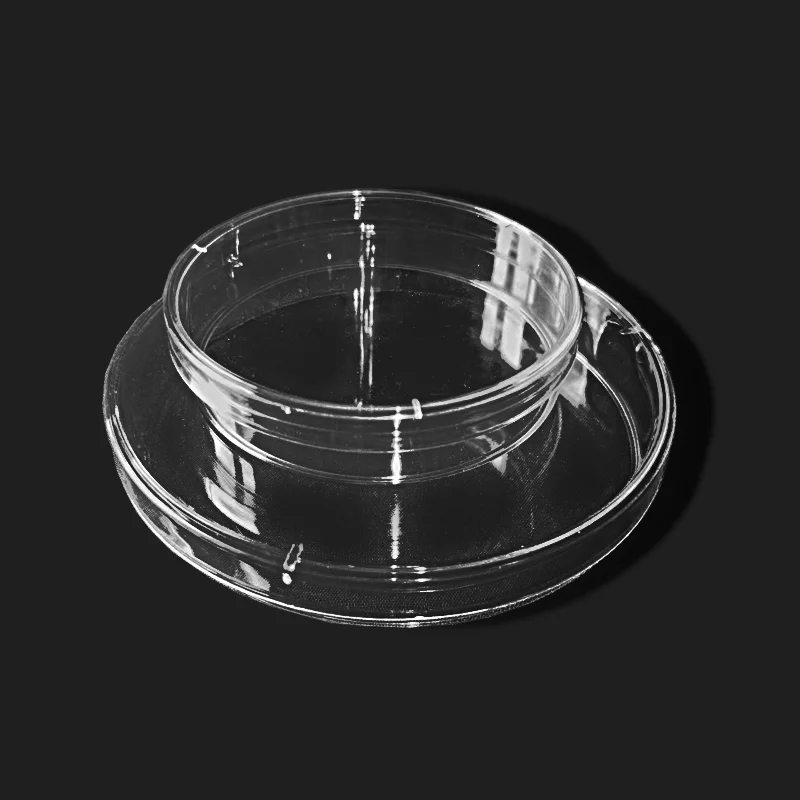 10 개/가방 70mm 무균 페트리 접시 뚜껑 실험실 저렴한 실험실 생물 과학 학교 용품 미생물학