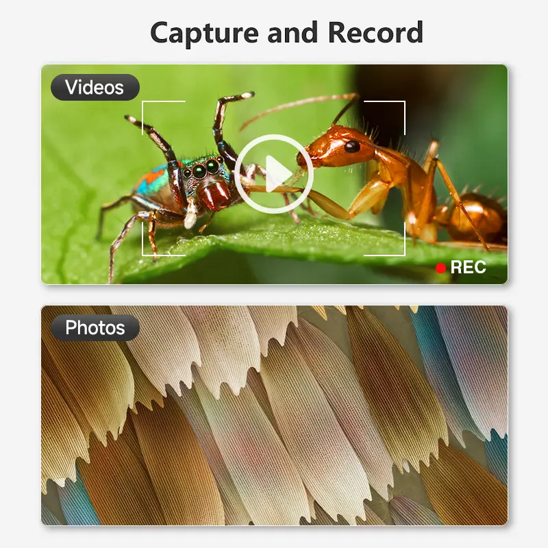 Hayve 1600X USB Microscope 1080P HD Soldering Microscope with 8LEDs Compatible with Android, Mac, Windows (X4) image 3