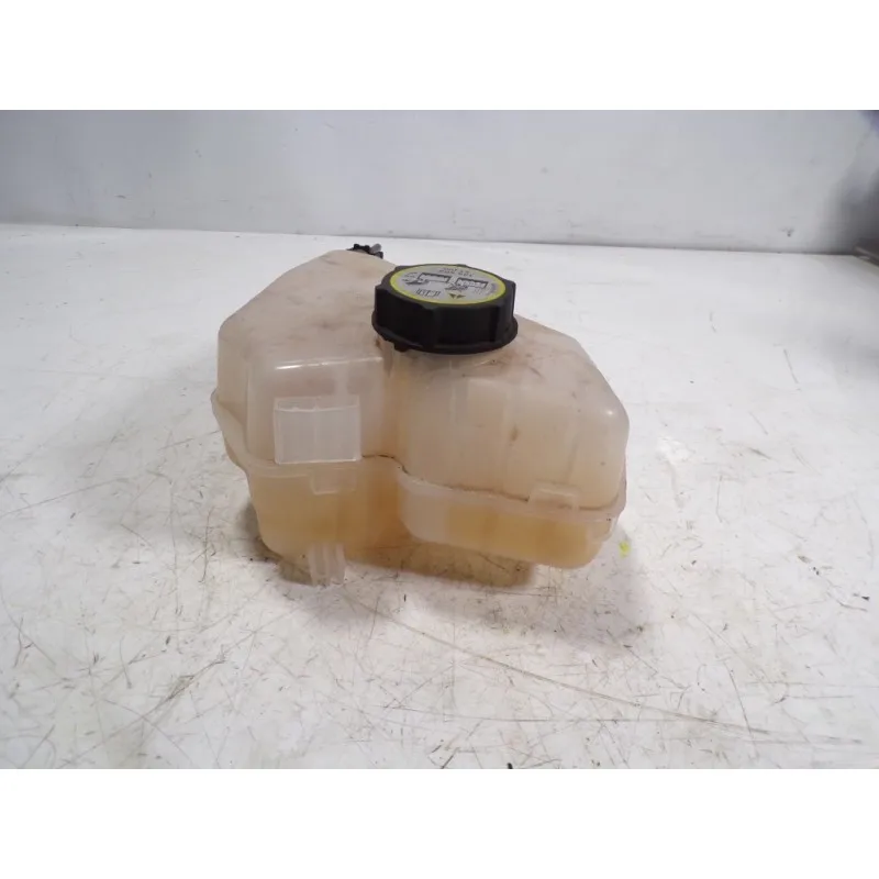 Espansione Deposito/1513111/16990201 Serve Per Ford Fiesta (Ccn) 1.0 Ecoboost Cat