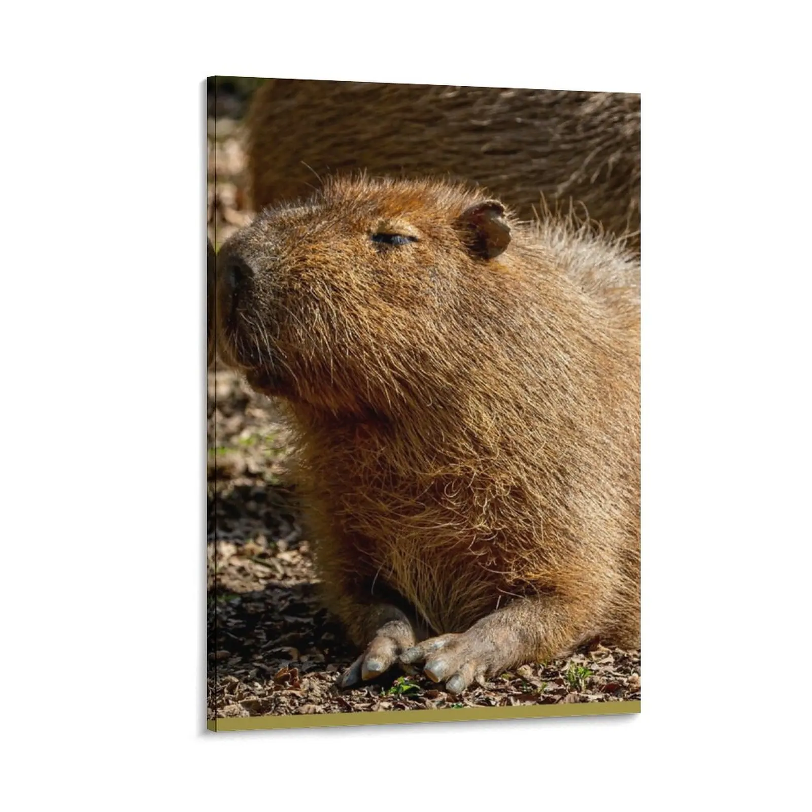

Just resting Capybara Canvas Painting bedroom decor nordic home decor Bedroom deco