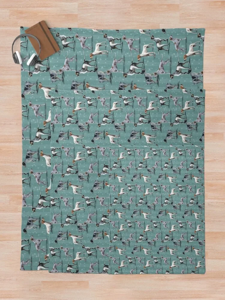 ������ ������ ���, ������ �ܿ� ķ�� �̺� ���