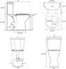 Rear Outlet Toilet With 19 Inch Tall Toilet Bowl & Tank, High Toilets For Seniors With Rear Discharge-Includes Extension Pipe 2