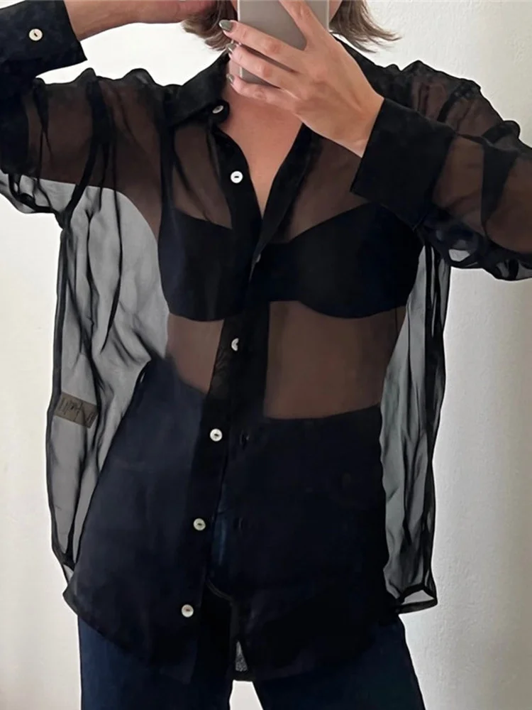 Women's Sheer Button Up Shirt Y2k Long Sleeve Lapel v Neck Mesh Top