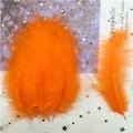 Orange 50pcs